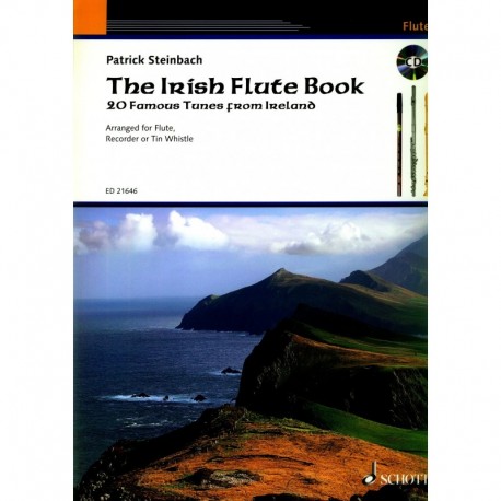 The Irish Flute Book