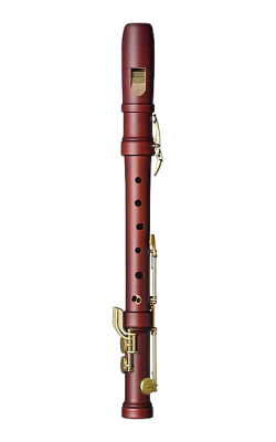 Special Treble Recorder in stained castello boxwood
