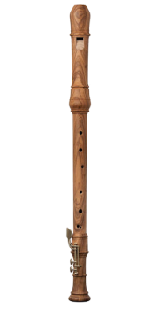Superio Tenor Recorder in Olivewood
