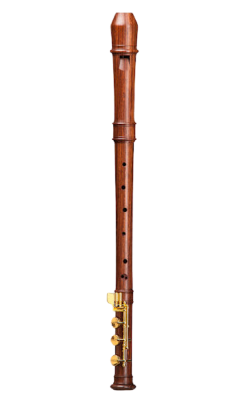 Modern Treble Recorder (E-foot) in Rosewood