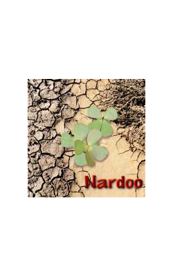 Nardoo