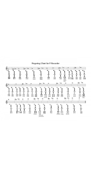 Fingering Chart - Laminated A4