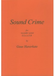 Sound Crime