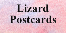 Lizard Postcards