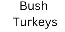 Bush Turkeys