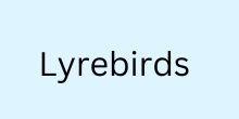Lyrebirds
